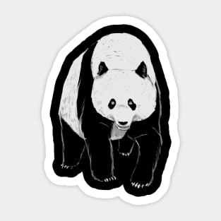 Giant Panda Sticker